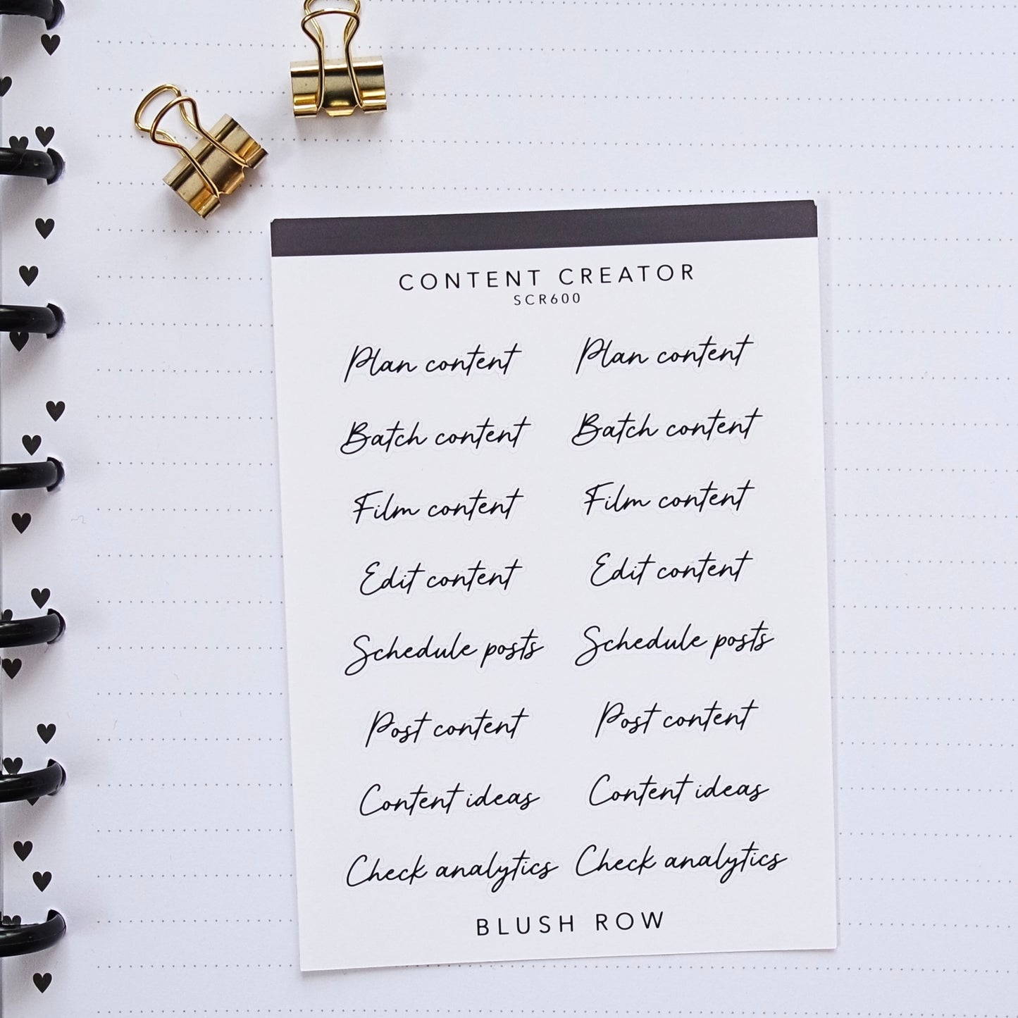 Content creator themed scripted planner stickers on a Blush Row sticker sheet.